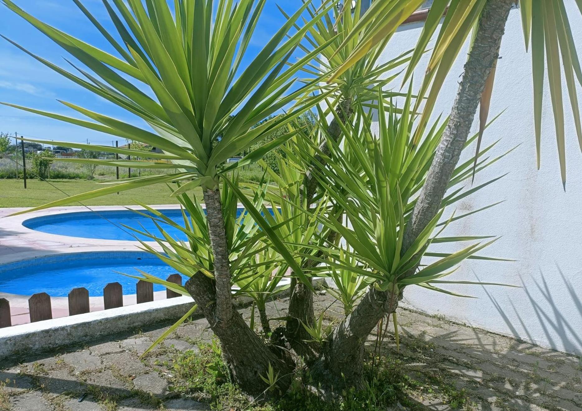 Casa Do Vale Hotel Évora Buitenkant foto